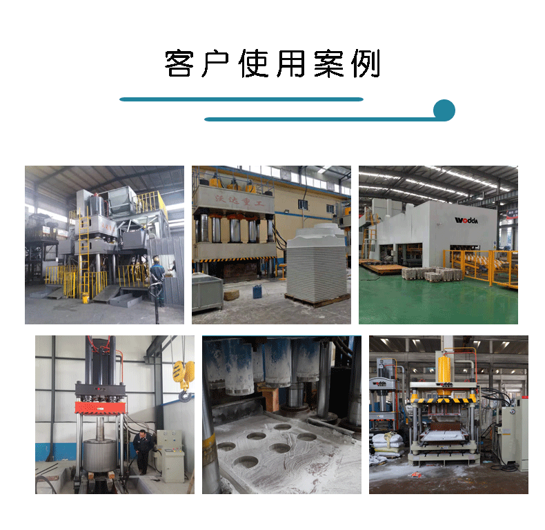 牛羊舔(tiǎn)磚液(yè)壓(yā)機(jī)